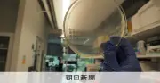 AI設計の機能する人工ウイルス、サイエンス誌に掲載