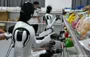AIが北極海の氷減少を予測、新モデル開発