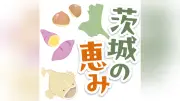 会瀬定置市、新鮮な魚求め地元住民ら行列 日立市で年4回開催