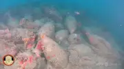 シチリア島沖で2100年前の古代ローマ沈没船発見、アンフォラ数百個