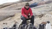 南極ペンギン、餌場分からず仲間を尾行 116羽の記録計解析で判明
