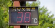 仕事中の熱中症は全て労災になる？ オフィス勤務中、通勤中などケースごとに解説：社労士Q&A