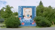 長野・御代田で「浅間国際フォトフェスティバル2026」、自然の中で写真を楽しむ