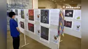「原爆の絵」展示会 福岡・中間市民図書館で16日まで