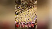 阿波おどり閉幕、熱狂の夏を写真で振り返る 徳島市