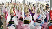 「あほう」の熱気街中に　阿波おどり、優雅な舞披露