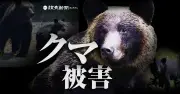 クマ対策、行楽地で徹底 高周波音や露天風呂に柵
