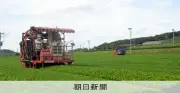 飲料メーカーが茶葉を鹿児島で自社栽培、価格高騰ではない参入理由