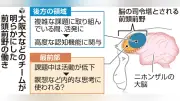 脳の最前部、難題に挑む時に活動低下…大阪大などのチームが定説覆す結果発表