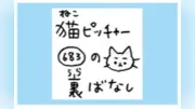 「猫ピッチャー」裏ばなし第683回～小虫と仲良く給水
