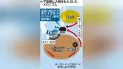 千葉豪雨の原因は「モンスーンジャイア」と寒冷渦の衝突、専門家が分析
