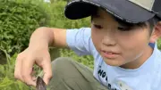 子供たちが育てたタガメをビオトープに放流　絶滅危惧種の保護学ぶ