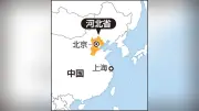 中国河北省で白菜をホルムアルデヒド溶液に浸し出荷、公安が捜査
