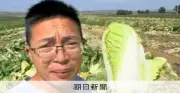 白菜をホルムアルデヒド液に浸し出荷か 中国河北省、全国調査に発展