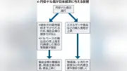 協調円買いで市場驚き、円安基調転換なるか