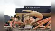 カニのテーマパーク「甲羅組」敦賀にオープン、家族連れで賑わう