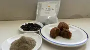 コオロギ給食で炎上→破産したグリラス元社長の告白