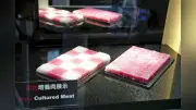 牛培養肉、来年1月にも試験生産へ 世界初の生産ラインを阪大に新設