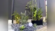 乾燥に強い植物と砂利の「ドライガーデン」人気、スタイリッシュで手入れも楽