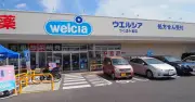 ドラッグストア「スーパー化」加速、ウェルシアは食品強化でどう変わった？