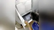岐阜・美濃加茂市議選で電子投票体験会、高齢者らがタブレット操作