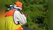 緊急銃猟１年、出動可能ハンター１０人未満の市町村が１０に 高齢化や仕事との両立難しく