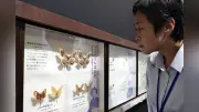 「体感するファーブル昆虫展」高知県立文学館で開催中 標本など110点