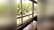 千葉県市川市のマンションで早朝に爆発、約40メートル離れた中学校の窓ガラス約40枚割れる、けが人なし