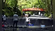 森町・小国神社の宮川で涼む家族連れ、青モミジが木陰つくる