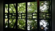 金ヶ崎「侍屋敷大松沢家」2階、座卓に緑映る幻想的な光景