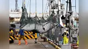 釧路沖の商業捕鯨で8月1日、体長4.6メートル・重さ1.1トンの雄のミンククジラが釧路港で今季初めて水揚げされた