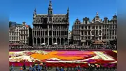 ブリュッセルのグランプラスでフラワーカーペット開幕、北斎の浮世絵を花で再現