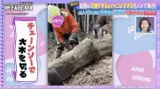 家賃3000円8DK生活…元AKB48似の林業シングルマザーが登場