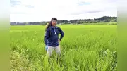 コメで小高盛り上げたい 元市職員と移住者の酒造り挑戦