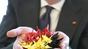 幕末から令和へ、ベルギーとの関係はビターチョコから甘美な友好へ