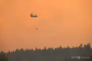 ドイツ国境の町で一部避難命令、ベルギーの山火事迫る