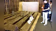 函館五稜郭「兵糧庫」特別公開、建設当時の木製水道管など展示 31日まで