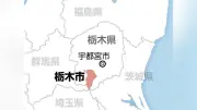 栃木市のブドウ園で収穫前の巨峰約400房盗難、時価14万円相当