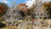 箱根ガラスの森美術館、3万粒のクリスタル使用「ガラスのススキ」動画が55万再生超