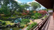 秀吉自ら設計の醍醐寺三宝院庭園、過剰なサービス精神が魅力