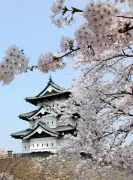 弘前城天守、111年ぶり曳戻しへ 21〜28日にイベント開催