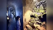 洞窟観音でいけばな展 高崎・徳明園 17日まで