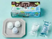 井村屋チョコミントアイスがローソンで発売、2種類の味わいを徹底レビュー