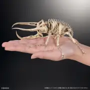 昆虫の骨格標本ガシャポン登場！可動ギミック付きでSNS話題