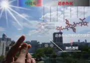 無色透明な有機太陽電池を開発、見えない近赤外光で発電 阪大など