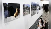 岩合光昭さんの猫写真展「ご当地ねこ」岡山・杜の街グレースで開催中