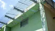 愛知のモンキーセンター休園へ　設備老朽化、リニューアルで数年後の再開目指す