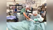 日本人医師がガザの爆発による負傷者の多さを報告