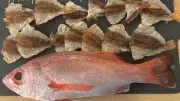 魚が消える国ニッポン、その対策とは？漁師不足でも魚離れでもない…世界で魚が増えているのに日本だけ減り続ける本当の理由