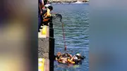 長崎で水難事故想定し合同訓練、潜水士ら約30人が参加